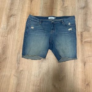 Torrid distressed denim shorts